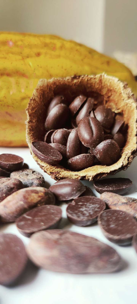 Professional Chocolate Degustation